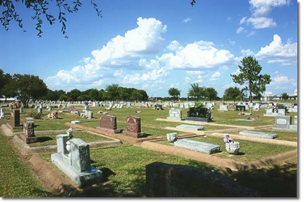 cemetery long view